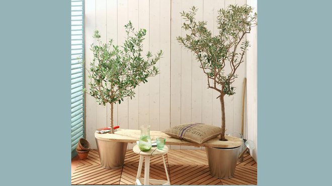 Fabriquez un banc pour s’asseoir à l’ombre des oliviers