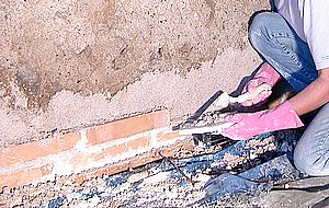 les premières rangées 