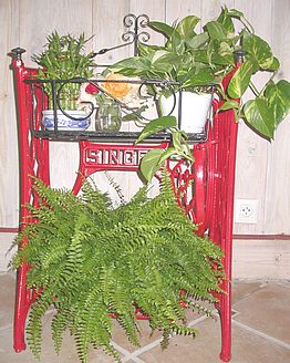 la jardinière terminée